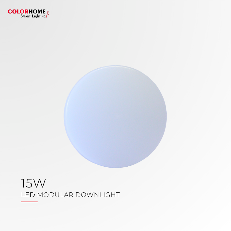 COLORHOME SURFACE MODULAR DOWN LIGHT15 WATTS - DAYLIGHT