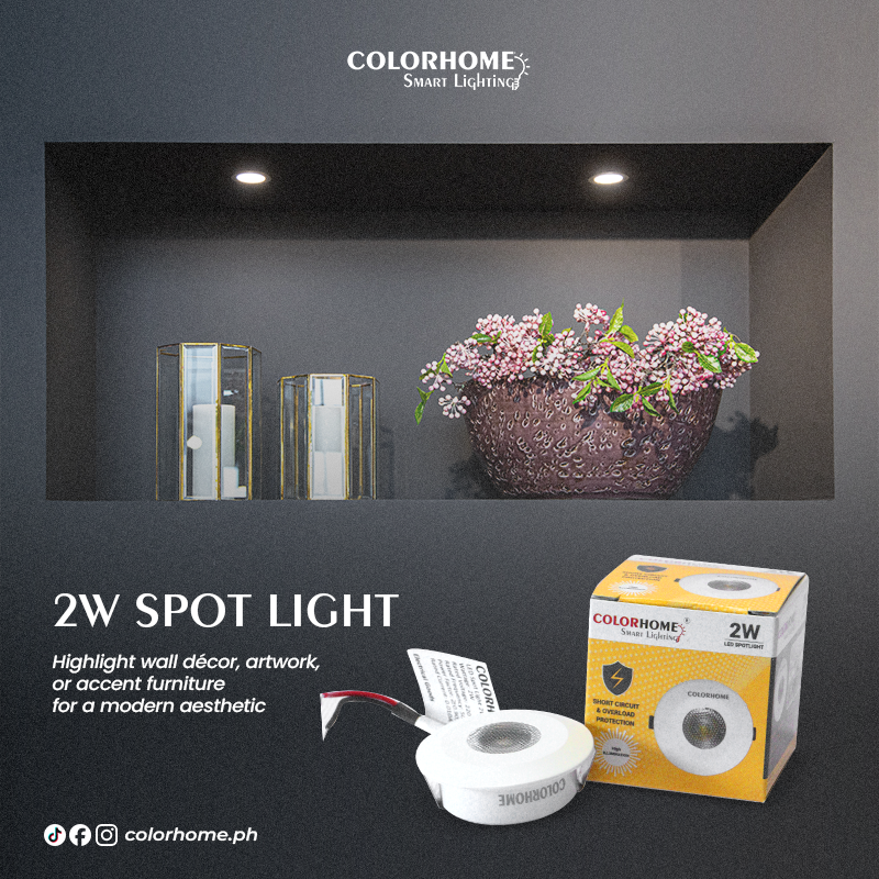 COLORHOME LED SPOT LIGHT 2 WATTS