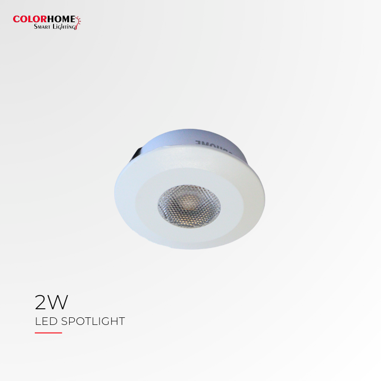 COLORHOME LED SPOT LIGHT 2 WATTS
